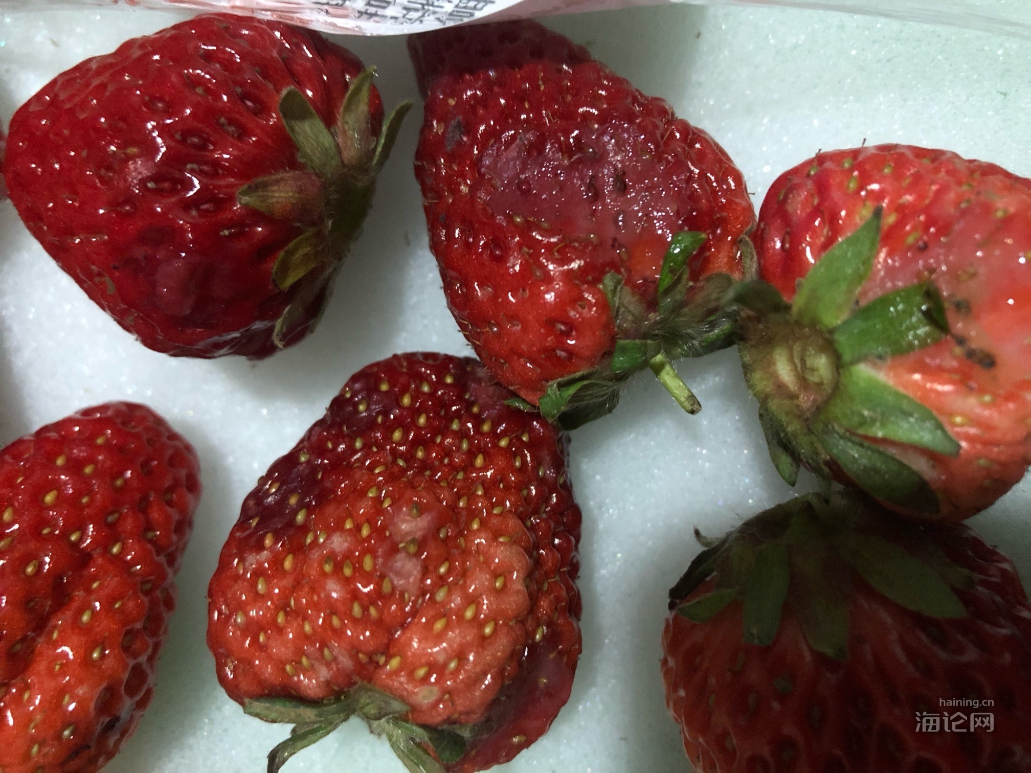 草莓腐烂变质是什么原因引起的？如何保鲜防腐？_水果